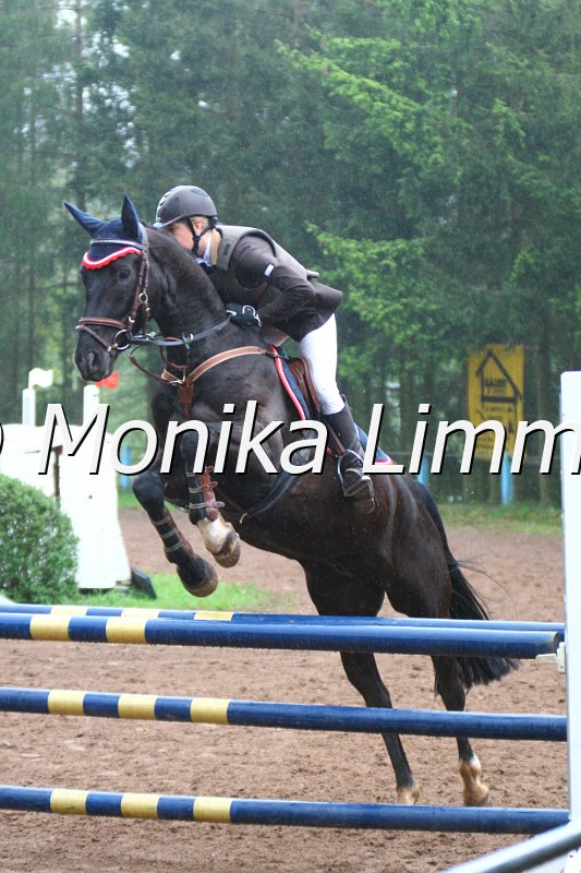 005L4685_Lennox_Springpferde A xx.JPG